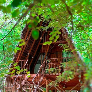 Tree House Ambasewana Sri Lanka